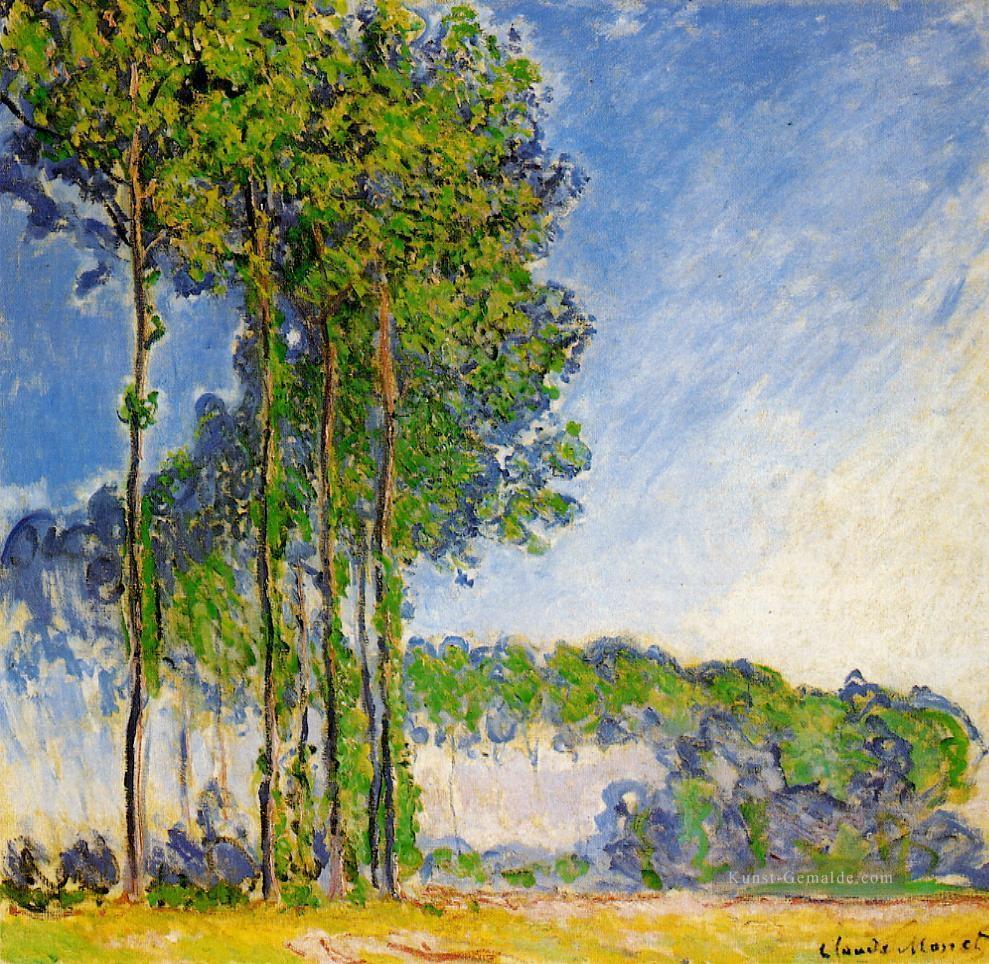 Poplars Blick vom Marsh Claude Monet Wald Ölgemälde